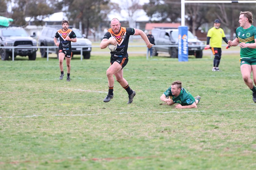 Roos Tame Bears